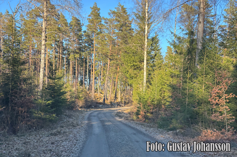 © Gustav Johansson.